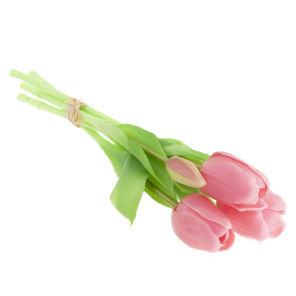 CV17692-8 TULIPAN GUMMED BUNCH X5 rosa