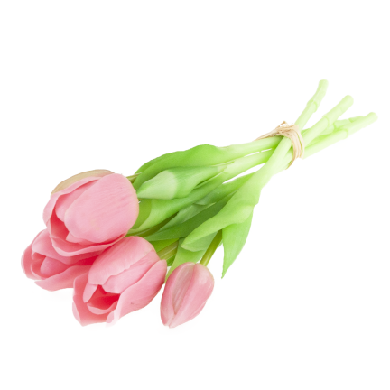 CV17692-8 TULIPAN GUMMED BUNCH X5 rosa
