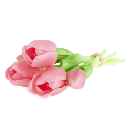 CV17692-8 TULIPAN GUMMED BUNCH X5 rosa