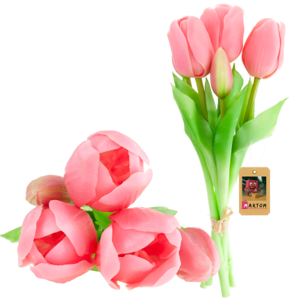 CV17692-8 TULIPAN GUMMED BUNCH X5 rosa