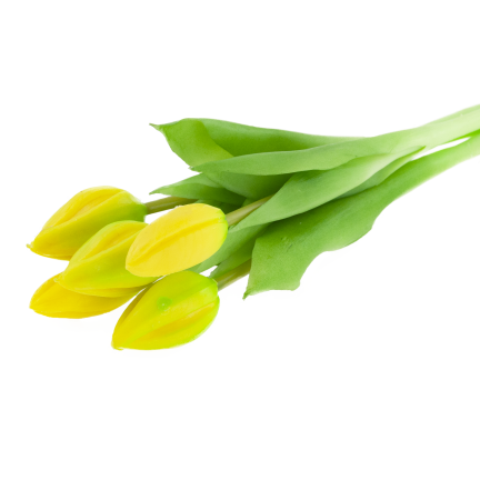 CV17693-3 GUMMIERTER TULPENSTRAUSS GELB 5 KÖPFE REALISTISCH