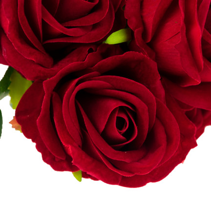 CV17907-9 STRAUSS VELOUR ROTE ROSEN ROSEN ALS LEBEN SCHÖN IN STRAUSS ECHT