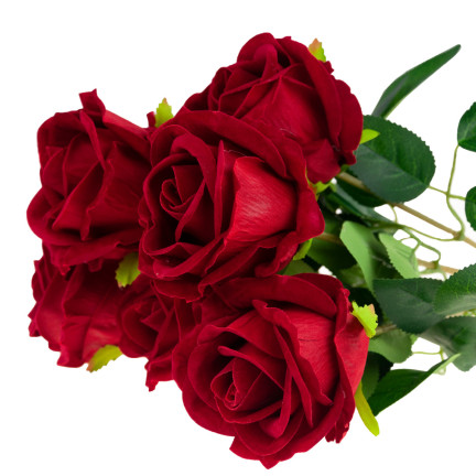 CV17907-9 STRAUSS VELOUR ROTE ROSEN ROSEN ALS LEBEN SCHÖN IN STRAUSS ECHT