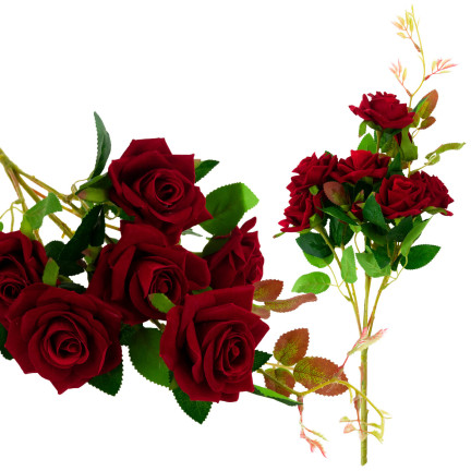 CV17908-10 STRAUSS VELOUR ROTE ROSEN ROSEN ALS LEBEN SCHÖN IN STRAUSS ECHT