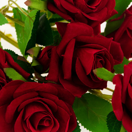 CV17908-10 STRAUSS VELOUR ROTE ROSEN ROSEN ALS LEBEN SCHÖN IN STRAUSS ECHT