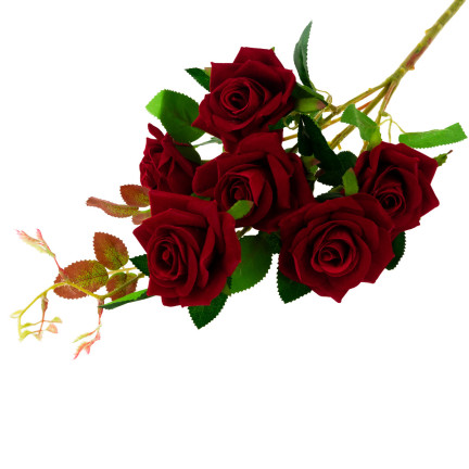 CV17908-10 STRAUSS VELOUR ROTE ROSEN ROSEN ALS LEBEN SCHÖN IN STRAUSS ECHT