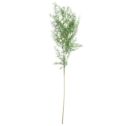 Decorative asparagus fern, artificial flowers, bouquet accent, 80 cm