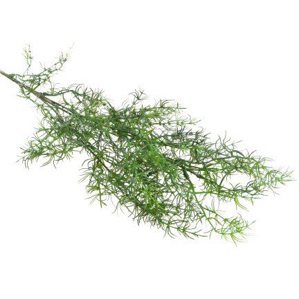 Decorative asparagus fern, artificial flowers, bouquet accent, 80 cm