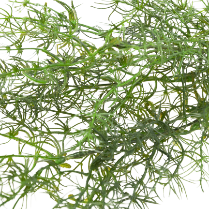 Decorative asparagus fern, artificial flowers, bouquet accent, 80 cm