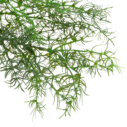 Decorative asparagus fern, artificial flowers, bouquet accent, 80 cm