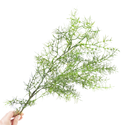 Decorative asparagus fern, artificial flowers, bouquet accent, 80 cm