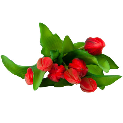 CV18674-11 Gummierte Tulpen Strauß als Live-Silikon RED