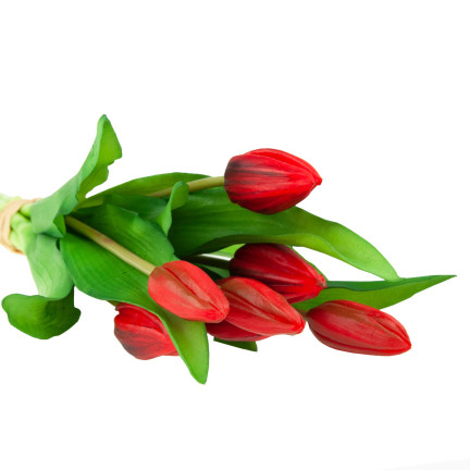 CV18674-11 Gummierte Tulpen Strauß als Live-Silikon RED