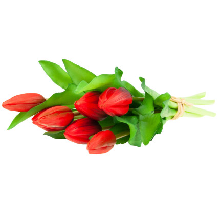 CV18674-11 Gummierte Tulpen Strauß als Live-Silikon RED