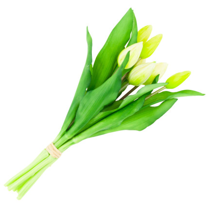 CV18674-1 TULIPS BUNCH Gummierter Gummi als lebendes Silikon WEISS ECRU