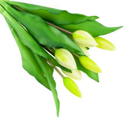 CV18674-1 TULIPS BUNCH Gummierter Gummi als lebendes Silikon WEISS ECRU