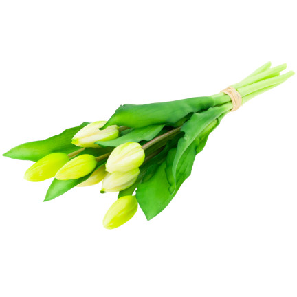 CV18674-1 TULIPS BUNCH Gummierter Gummi als lebendes Silikon WEISS ECRU