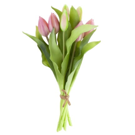 CV18674-6 TULIPAN GUMMED BUNCH X7 rosa