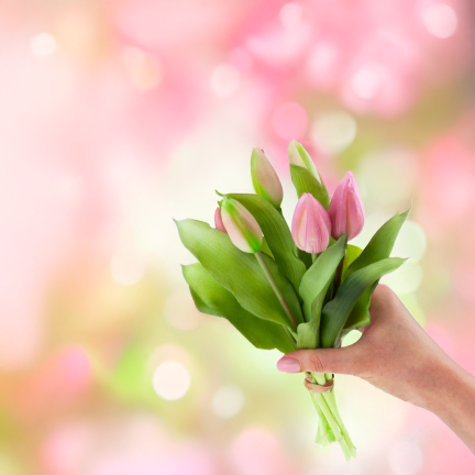 CV18674-6 TULIPAN GUMMED BUNCH X7 rosa