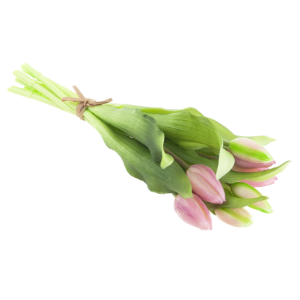 CV18674-6 TULIPAN GUMMED BUNCH X7 rosa