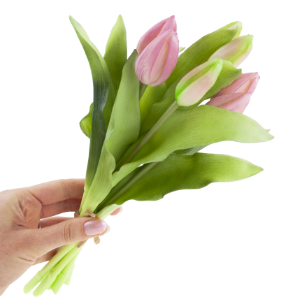 CV18674-6 TULIPAN GUMMED BUNCH X7 rosa
