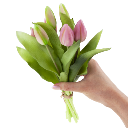 CV18674-6 TULIPAN GUMMED BUNCH X7 rosa