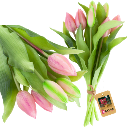 CV18674-6 TULIPAN GUMMED BUNCH X7 rosa