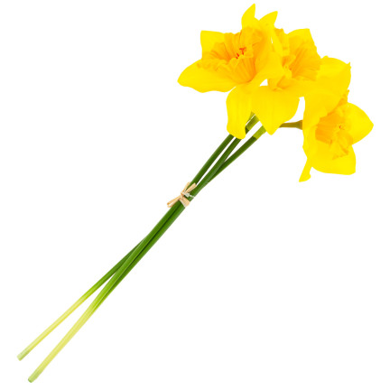 CV21321-3 DACONCILS NARCYCLES BUNCH ARTIFICIAL ORNAMENTAL FLOWERS DACONCIL IN BUNCH gummiert