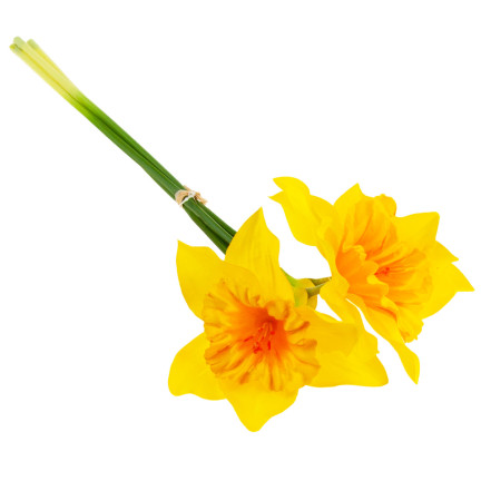 CV21321-3 DACONCILS NARCYCLES BUNCH ARTIFICIAL ORNAMENTAL FLOWERS DACONCIL IN BUNCH gummiert