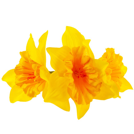 CV21321-3 DACONCILS NARCYCLES BUNCH ARTIFICIAL ORNAMENTAL FLOWERS DACONCIL IN BUNCH gummiert