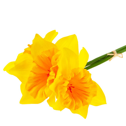 CV21321-3 DACONCILS NARCYCLES BUNCH ARTIFICIAL ORNAMENTAL FLOWERS DACONCIL IN BUNCH gummiert