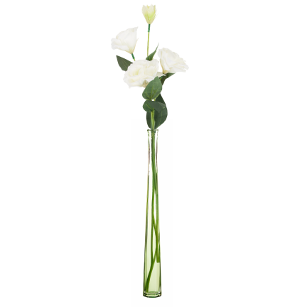 CV21840-1 Eustoma, 4-flowered stem, white, delicate wild rose