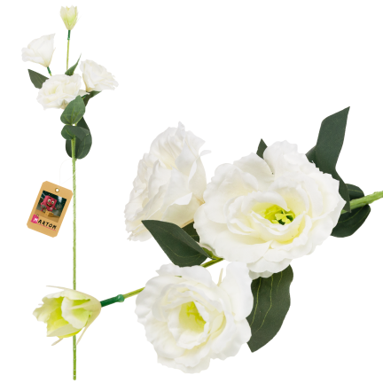 CV21840-1 Eustoma, 4-flowered stem, white, delicate wild rose
