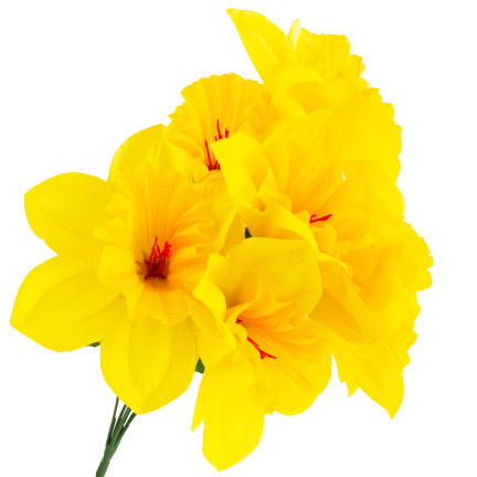 CV22107 Narzissenstrauß 8 Stück künstliche Blumen Narzissen