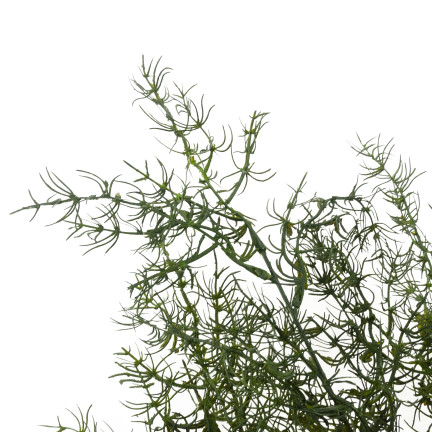 CV13686-3 DEKORATIVEN ZWEIG SPARGEL KÜNSTLICHE BLUMEN DEKORATIVEN STRAUSS ZUBEHÖR GRAB