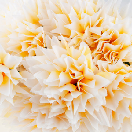 CV23704-2 WEIHNACHTEN BUNCH VON 12 KUNSTBLUMEN 50CM ecru