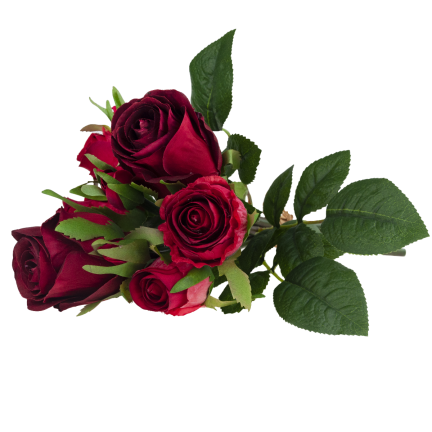 CV26349-7 STRAUSS ROTER VELOURSROSEN DICHTE ROSEN WIE DAS LEBEN SCHÖN IM STRAUSS ECHT