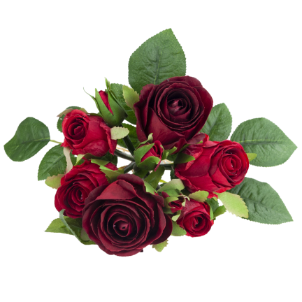 CV26349-7 STRAUSS ROTER VELOURSROSEN DICHTE ROSEN WIE DAS LEBEN SCHÖN IM STRAUSS ECHT