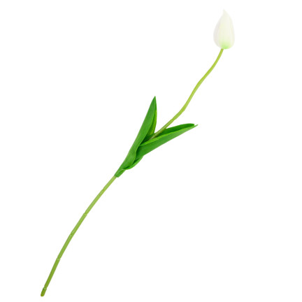 CV26799-1 UMĚLÝ TULIPÁN GUMMED WHITE KRÁSNÝ JAKO ŽIVÝ PIANO TULIPÁN Rákosový