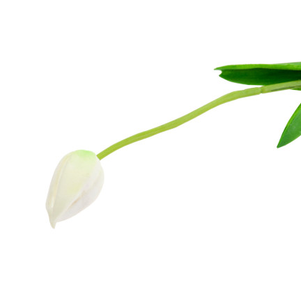 CV26799-1 UMĚLÝ TULIPÁN GUMMED WHITE KRÁSNÝ JAKO ŽIVÝ PIANO TULIPÁN Rákosový