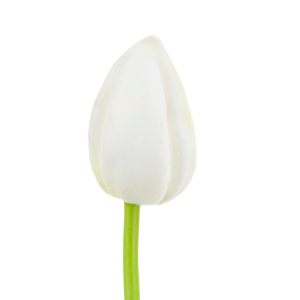 CV26799-1 UMĚLÝ TULIPÁN GUMMED WHITE KRÁSNÝ JAKO ŽIVÝ PIANO TULIPÁN Rákosový