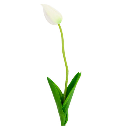 CV26799-1 UMĚLÝ TULIPÁN GUMMED WHITE KRÁSNÝ JAKO ŽIVÝ PIANO TULIPÁN Rákosový