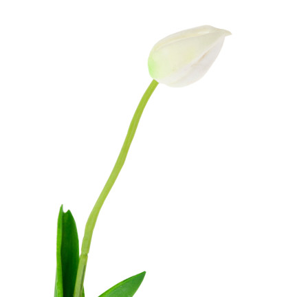 CV26799-1 UMĚLÝ TULIPÁN GUMMED WHITE KRÁSNÝ JAKO ŽIVÝ PIANO TULIPÁN Rákosový