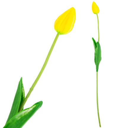 CV26799-4 ARTIFICIAL GUMMER TULIPAN YELLOW BEAUTIFUL AS LIVE PIANO TULIPS Reed