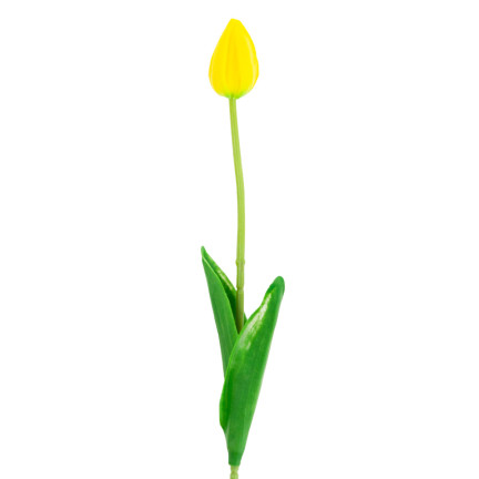 CV26799-4 ARTIFICIAL GUMMER TULIPAN YELLOW BEAUTIFUL AS LIVE PIANO TULIPS Reed