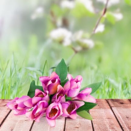 CV26811-7 STRAUSS KÜNSTLICHER GELOCHTER TULPEN X 9 VIOLETT