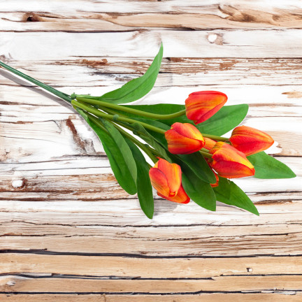 CV26813-3 KYTICE TULIPÁNŮ KRÁSNÁ JAKO ŽIVÉ TULIPÁNY ORANŽOVÉ KVĚTY X9