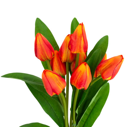 CV26813-3 KYTICE TULIPÁNŮ KRÁSNÁ JAKO ŽIVÉ TULIPÁNY ORANŽOVÉ KVĚTY X9