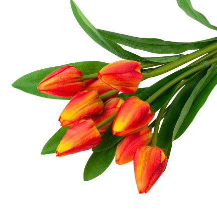 CV26813-3 KYTICE TULIPÁNŮ KRÁSNÁ JAKO ŽIVÉ TULIPÁNY ORANŽOVÉ KVĚTY X9