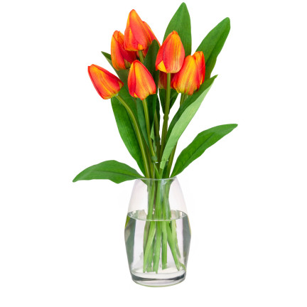 CV26813-3 KYTICE TULIPÁNŮ KRÁSNÁ JAKO ŽIVÉ TULIPÁNY ORANŽOVÉ KVĚTY X9